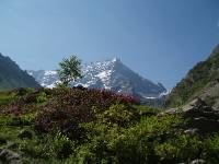 Youri - Ecrins 2005 048
